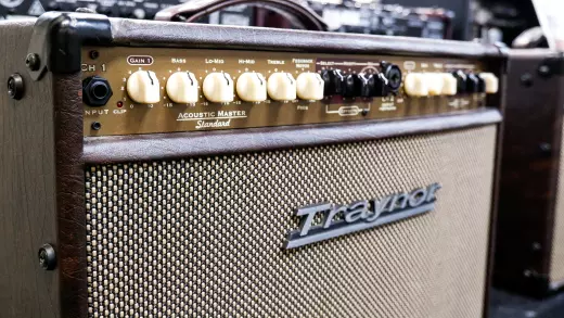 Traynor - AM Standard 2-Channel Stereo Acoustic Guitar Amp - 150 Watts 2